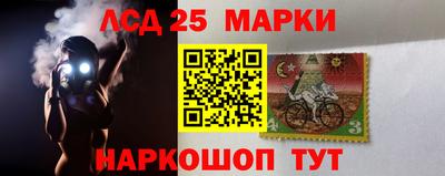 СК Камышлов