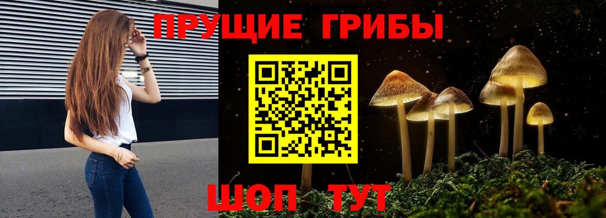 Горячий Ключ  Псилоцибиновые грибы Cubensis  Вход с VPN 