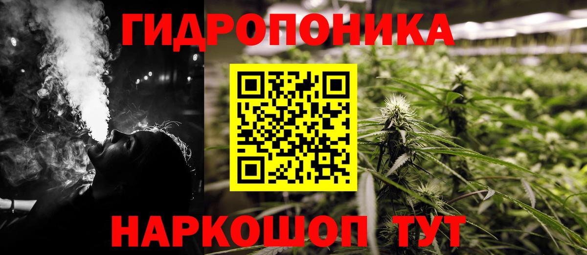 Конопля Bruce Banner Горячий Ключ
